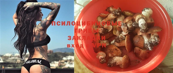 мяу мяу мука Абаза