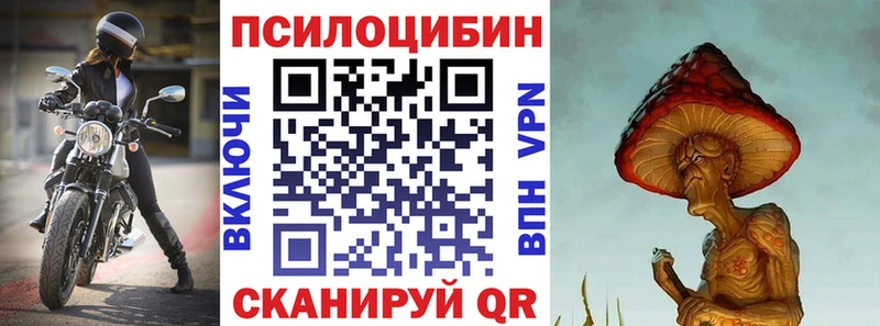 Галлюциногенные грибы Psilocybine cubensis  Ачхой-Мартан 